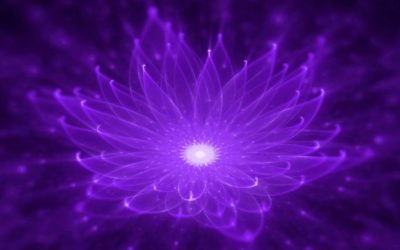 Transmutação – Violeta é sua Cor